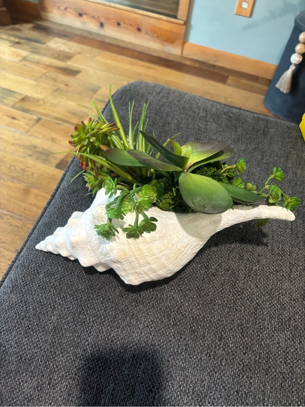 White Conch Shell Faux Succulent Arrangement Planter - Coastal Home Accent